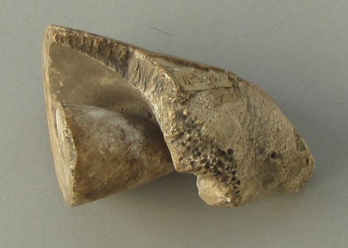 IV Ca 3696 c