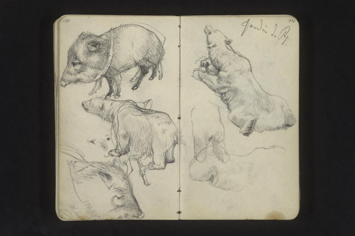 Eisbären, Wildschweine in der Ménagerie du Jardin des Plantes