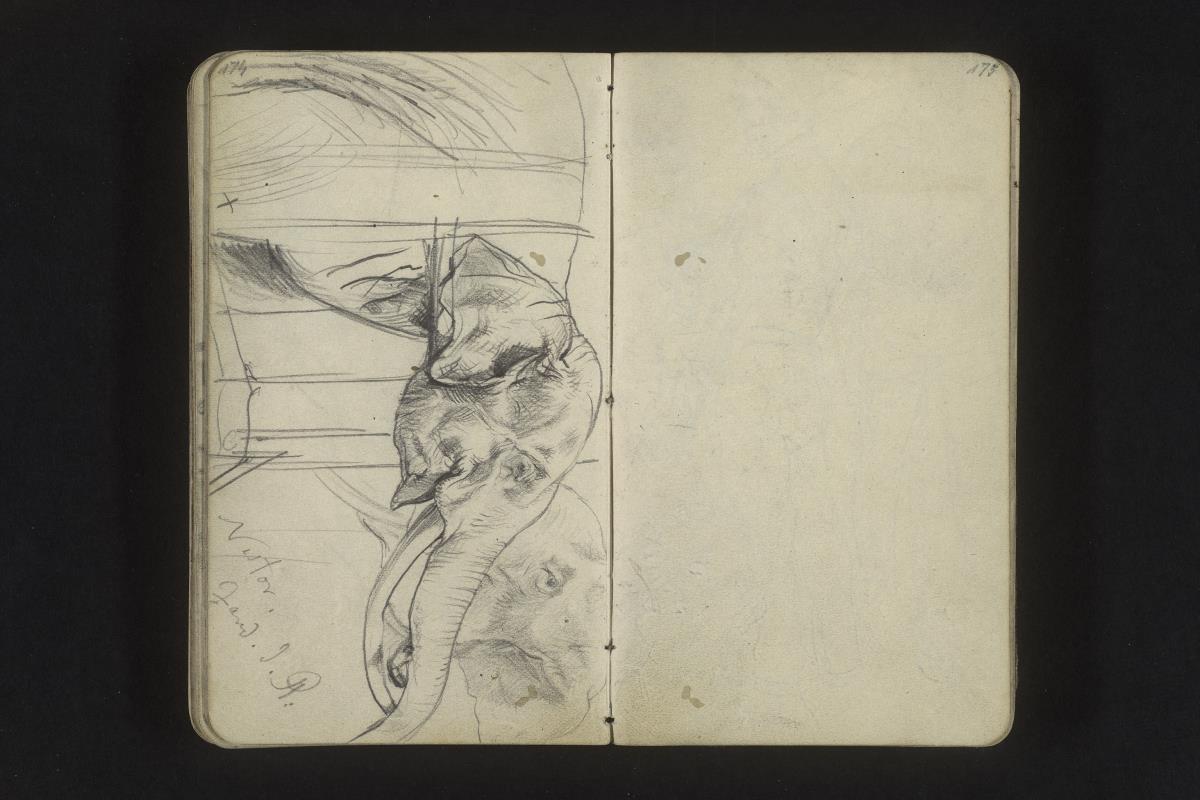 Der Elefant Nestor in der Ménagerie du Jardin des Plantes