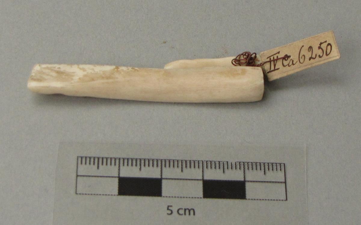 IV Ca 6250