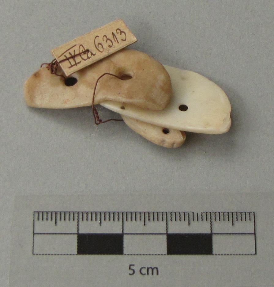 IV Ca 6313