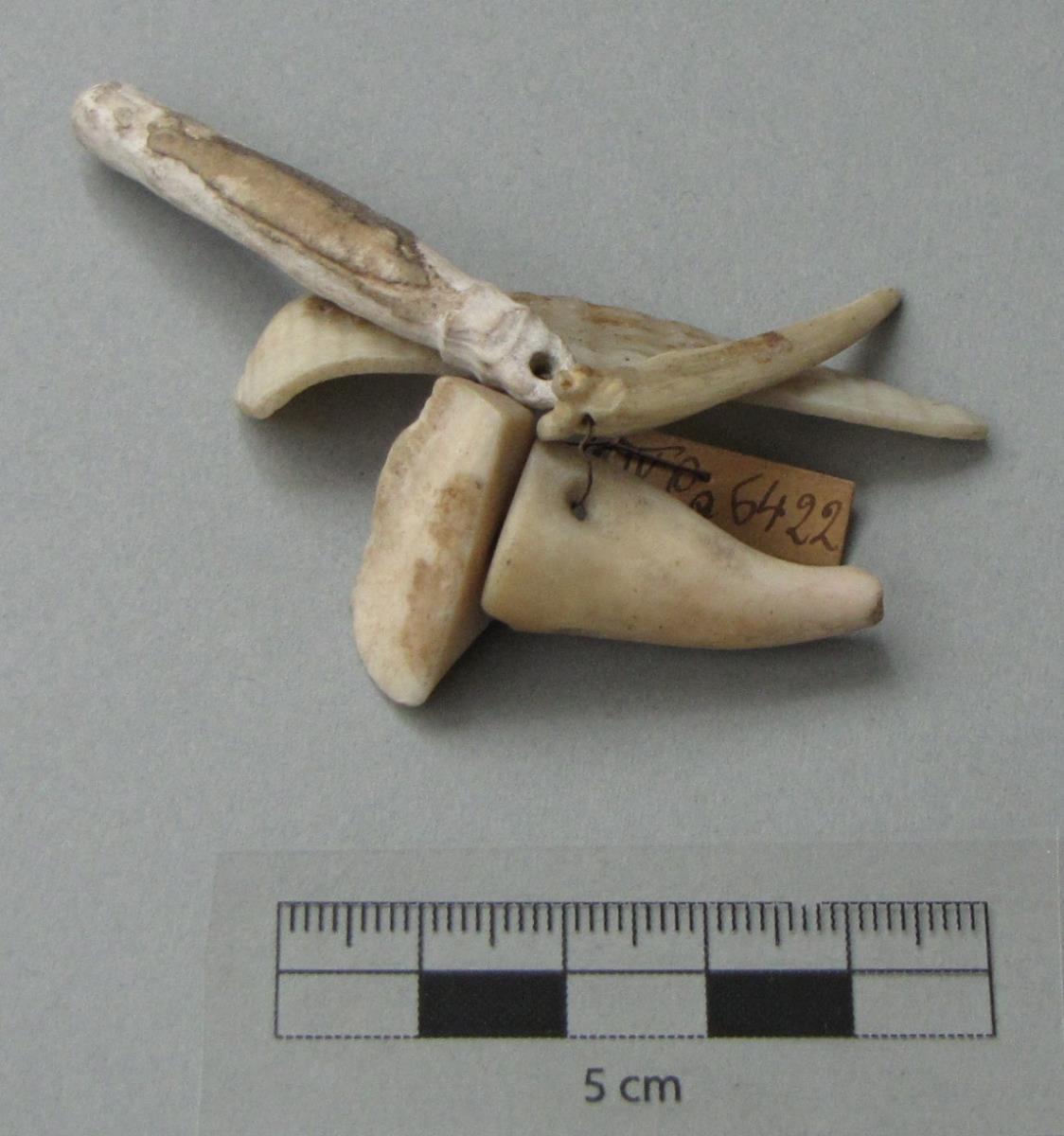 IV Ca 6422