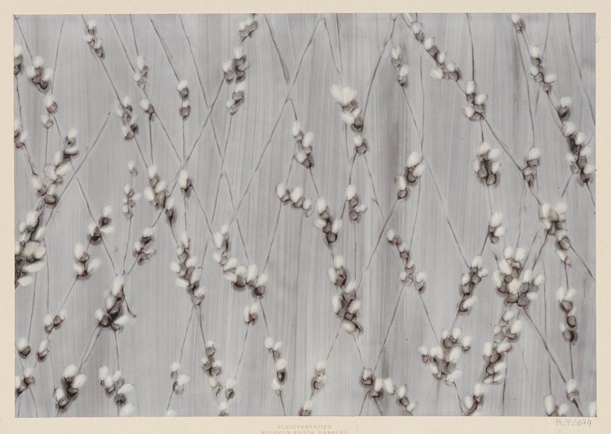 Kleisterpapier (Weidenkätzchen)