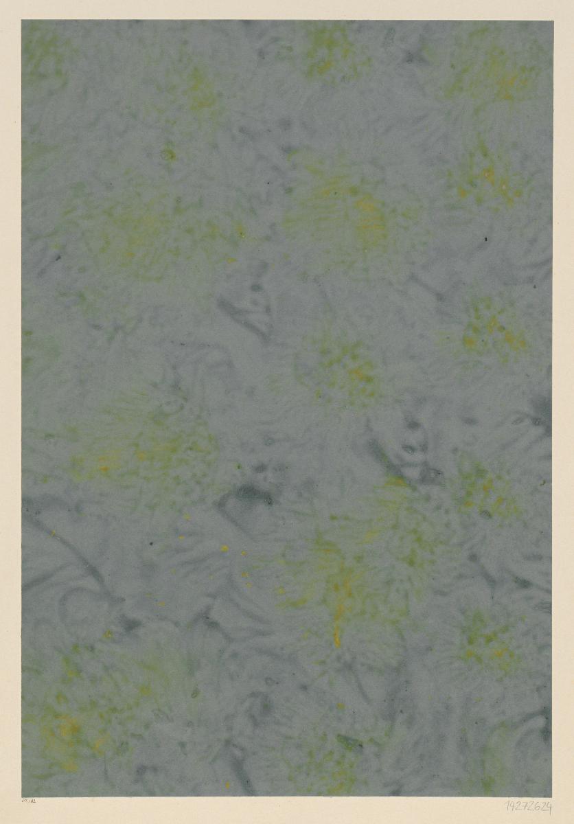 Geädertes Kleisterpapier