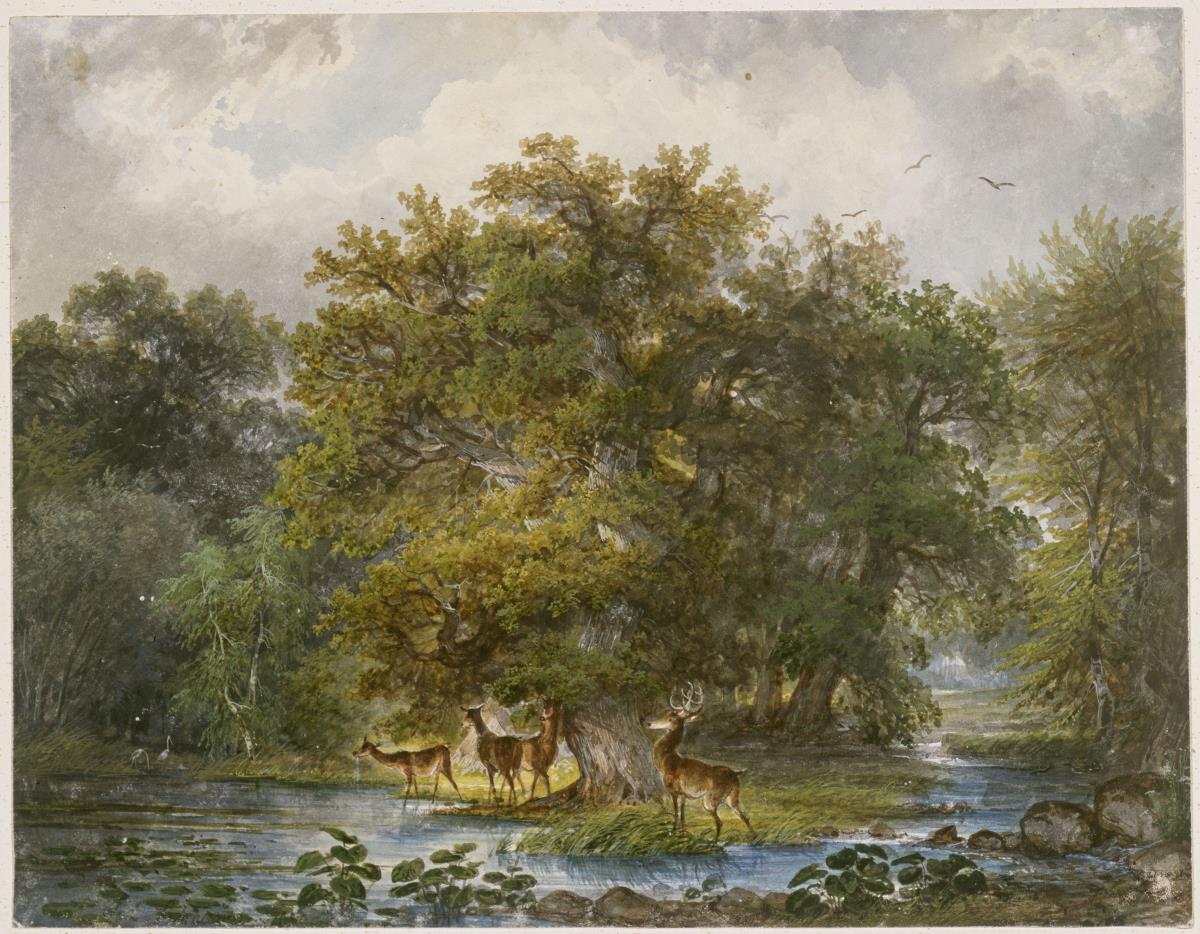 Waldlandschaft mit Hirschen und Reiher am Bach