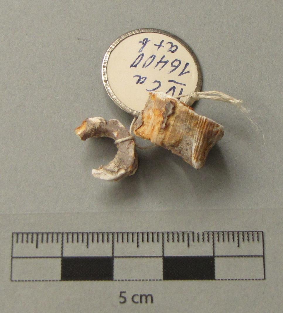 IV Ca 16400 a