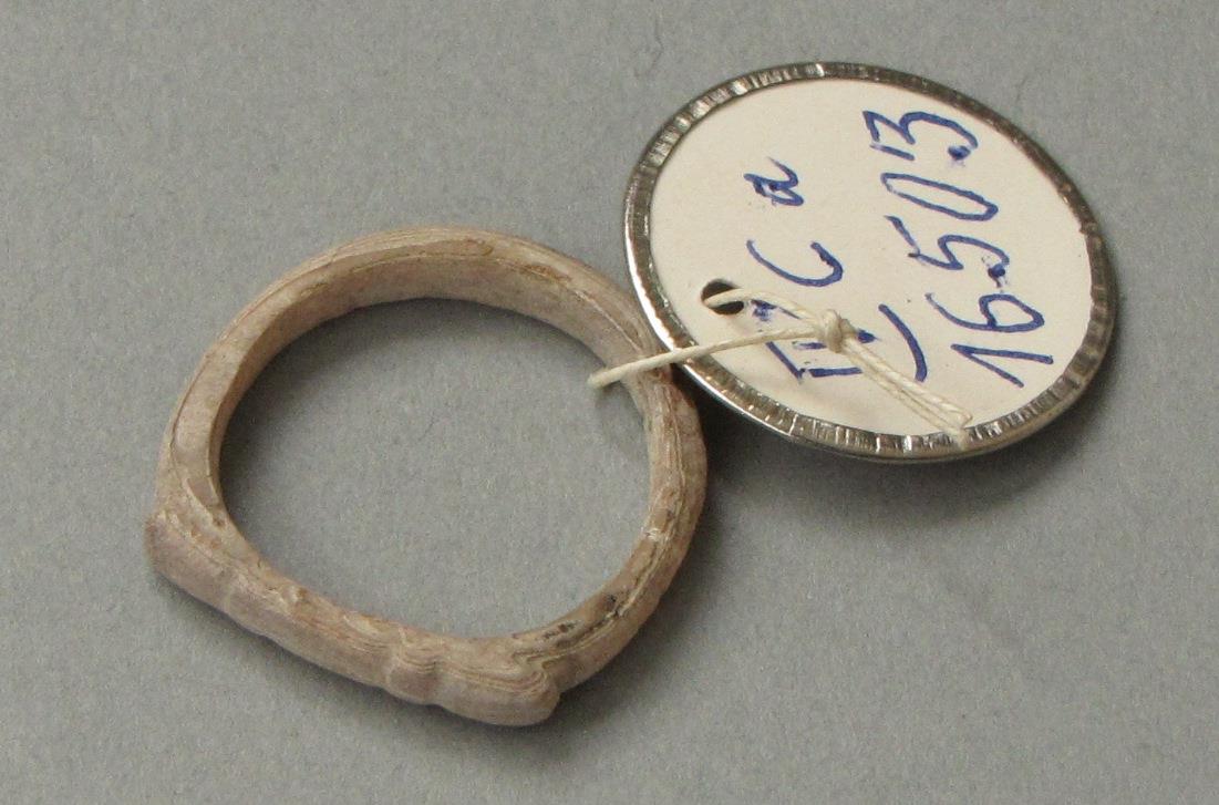IV Ca 16503