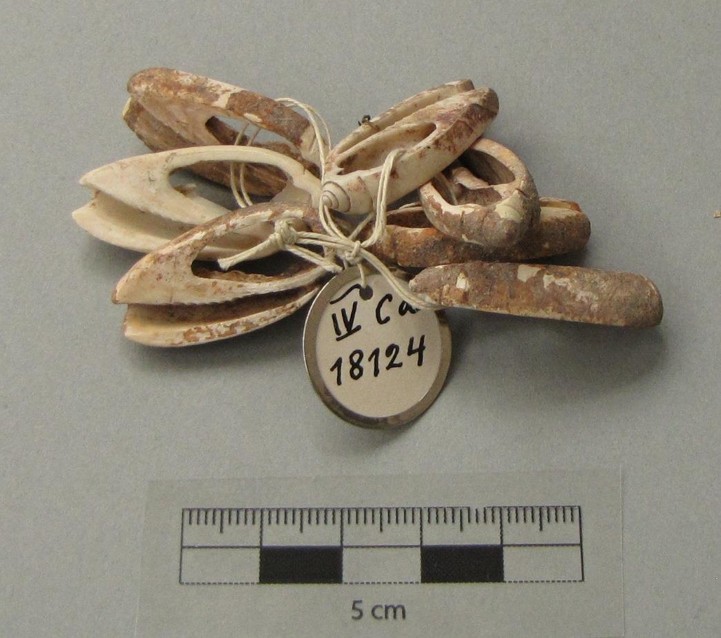 IV Ca 18124