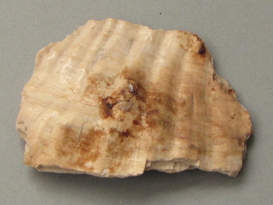 IV Ca 6603 a