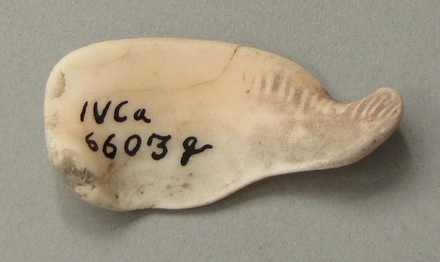 IV Ca 6603 g