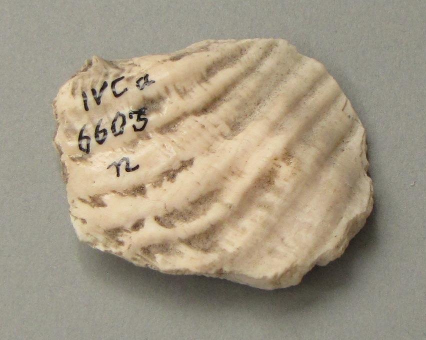 IV Ca 6603 n