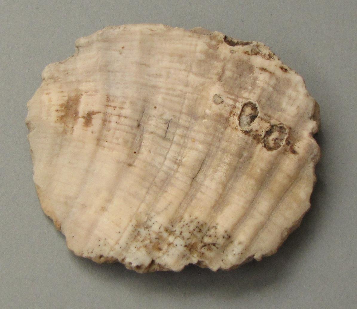 IV Ca 6603 p