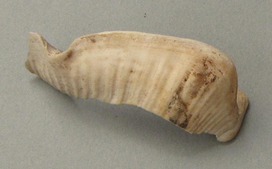 IV Ca 6603 q