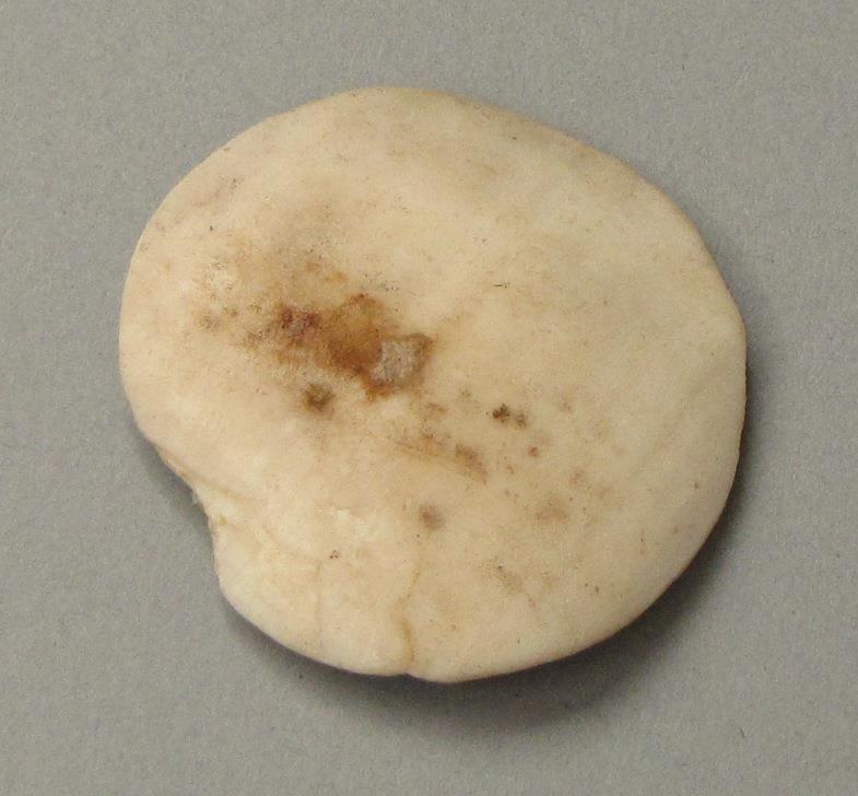 IV Ca 6603 t