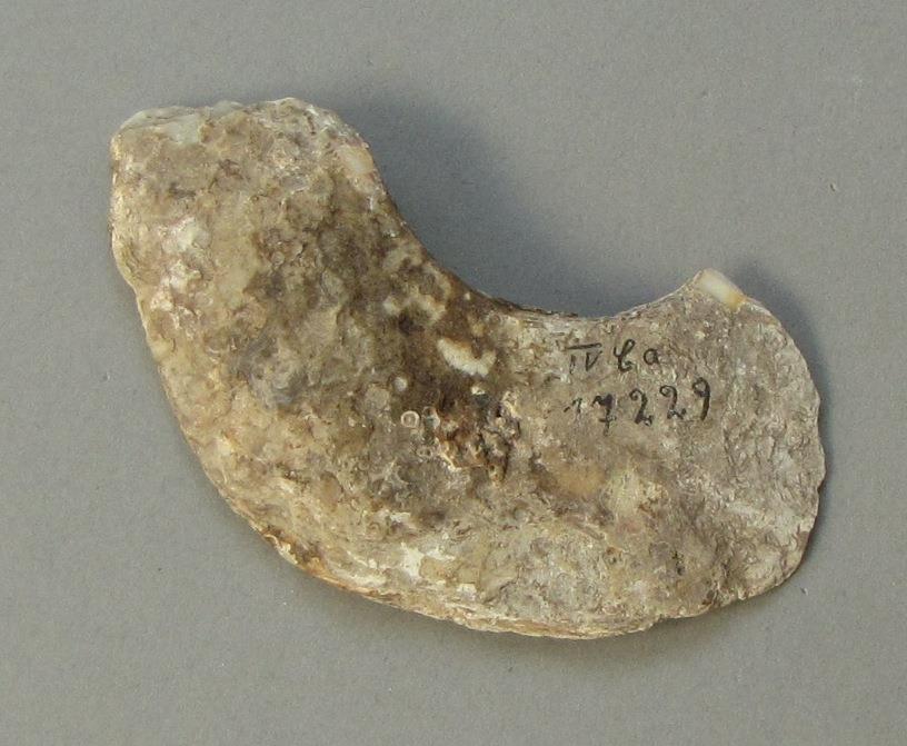 IV Ca 17229