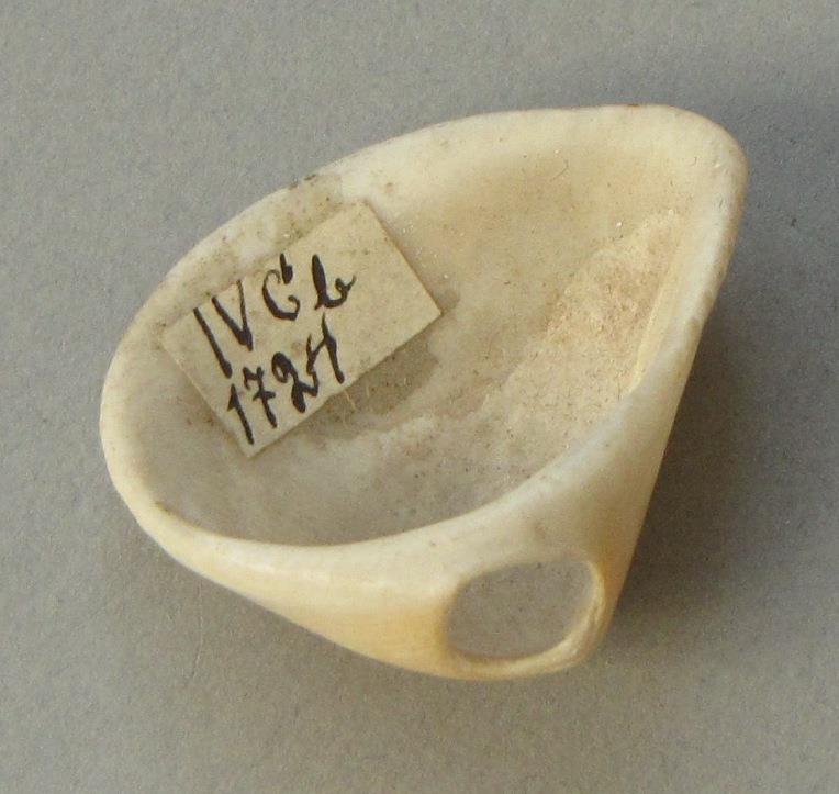 IV Ca 1724 b <1>