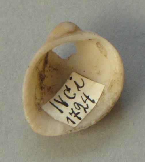 IV Ca 1724 i <1>