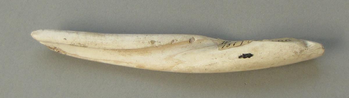 IV Ca 18198