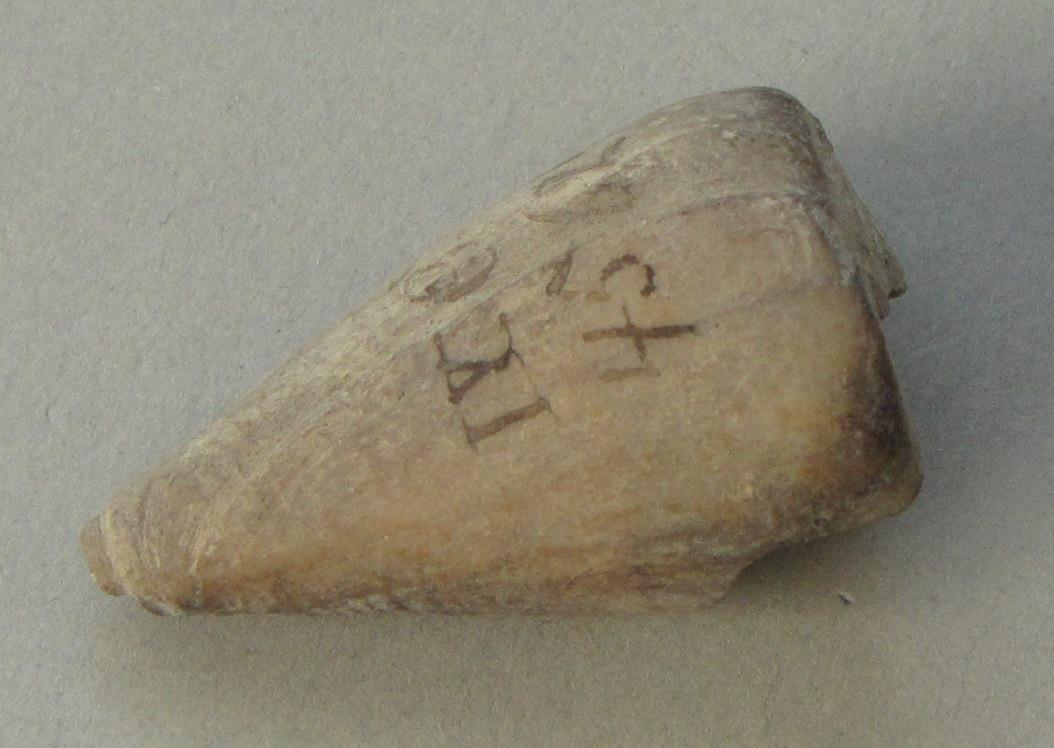 IV Ca 4562 f