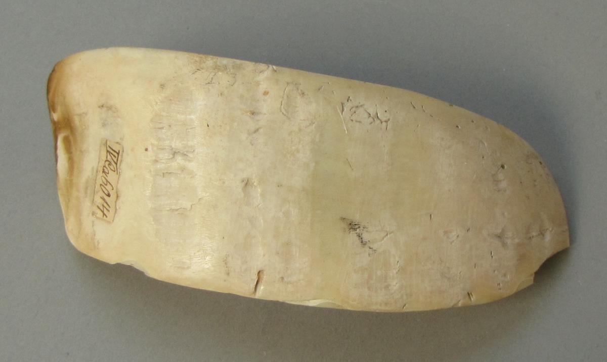 IV Ca 6014