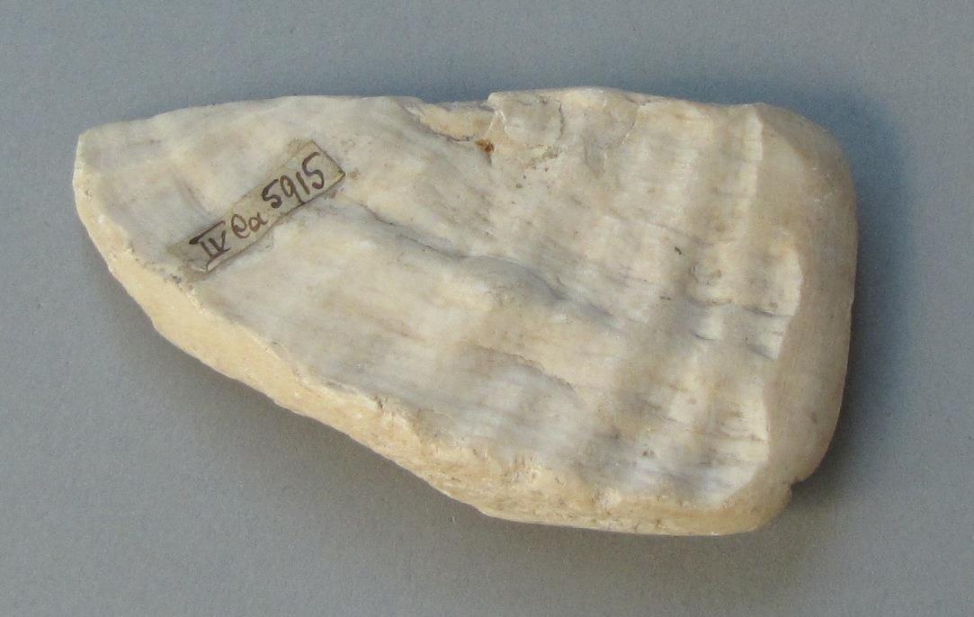 IV Ca 5915