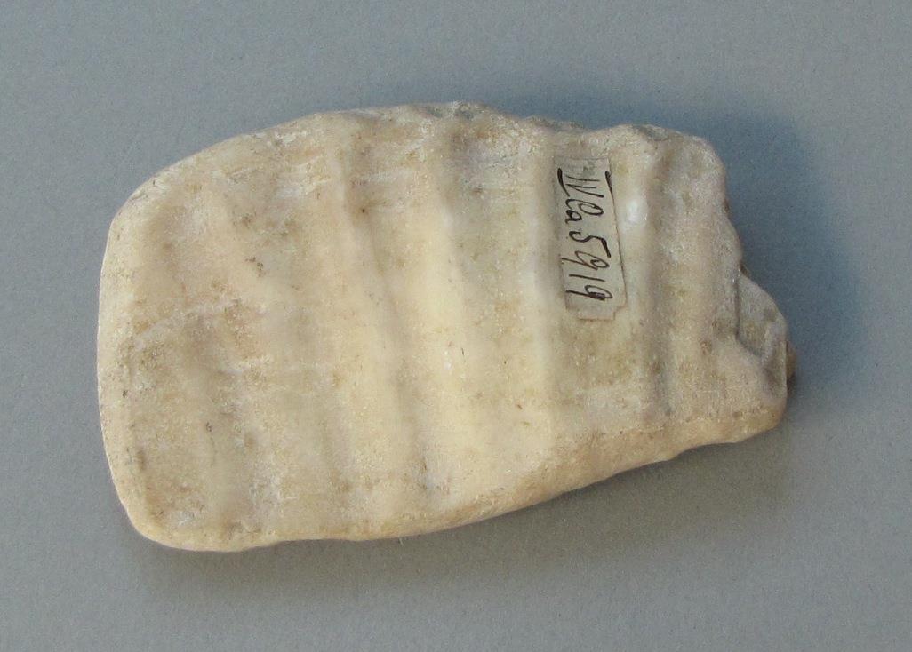 IV Ca 5919