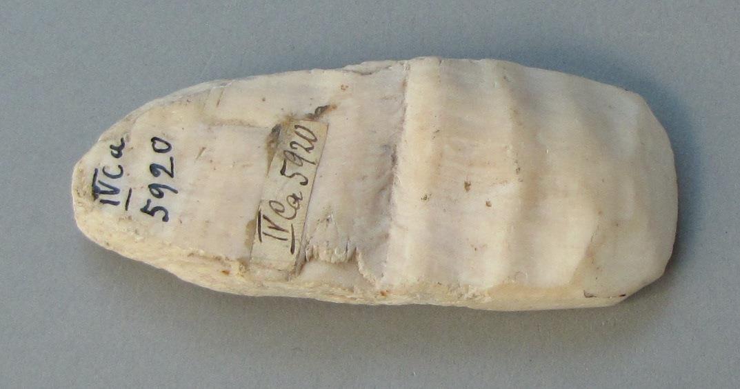 IV Ca 5920
