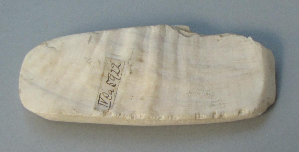 IV Ca 5922
