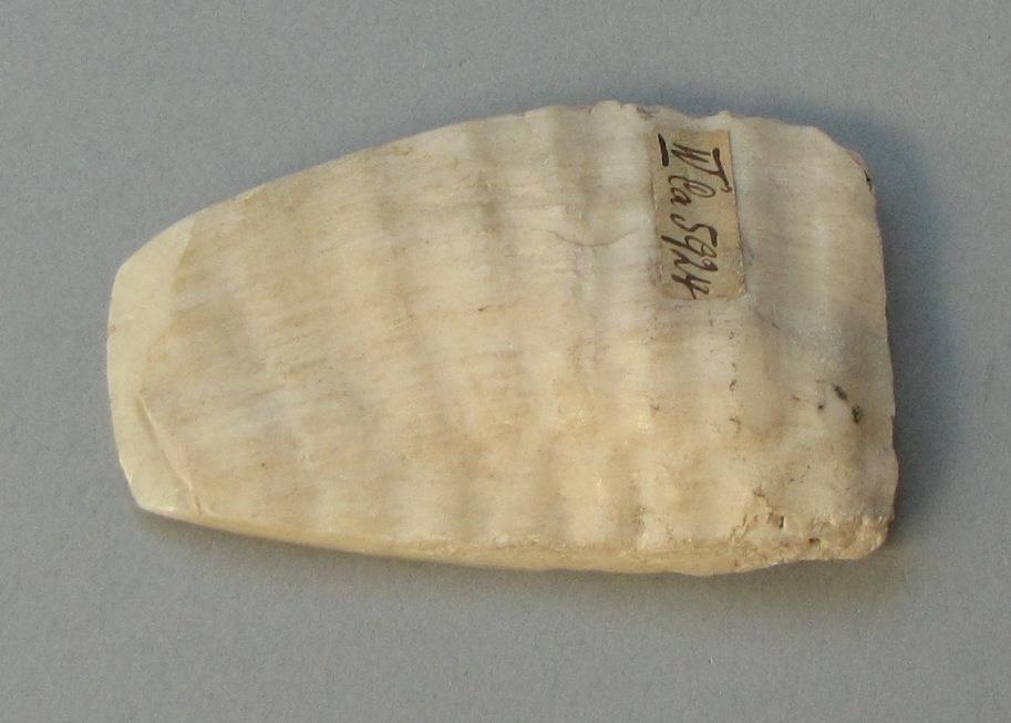 IV Ca 5924