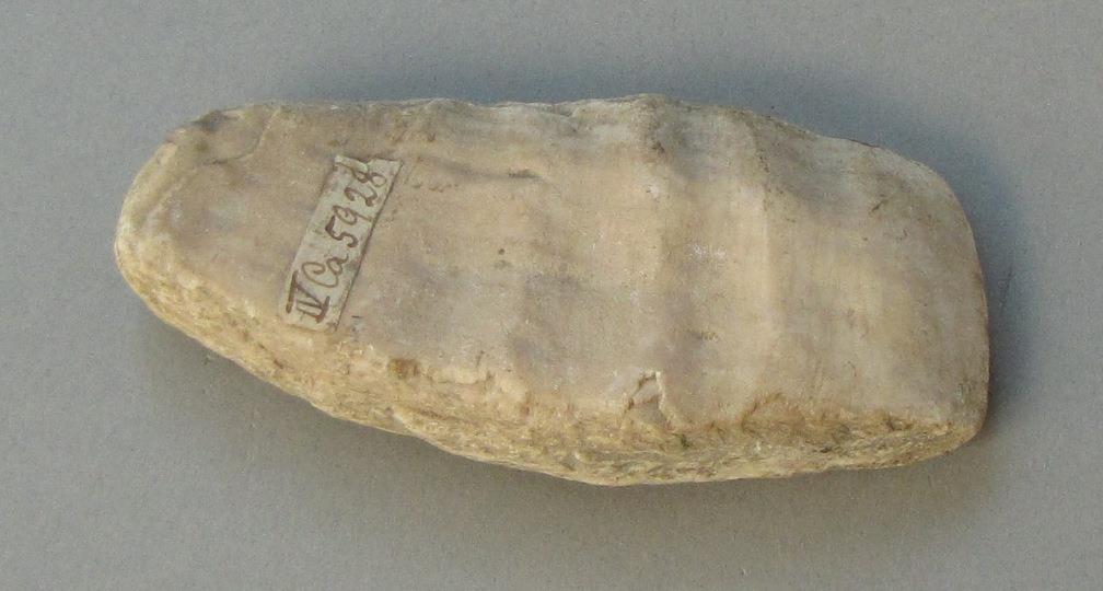 IV Ca 5928