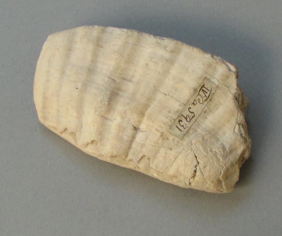 IV Ca 5931