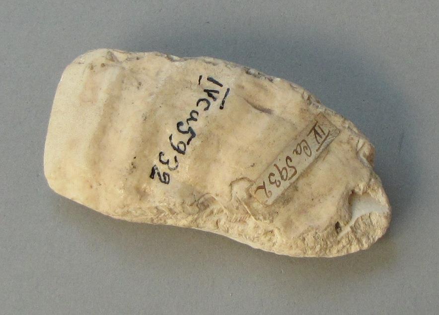 IV Ca 5932