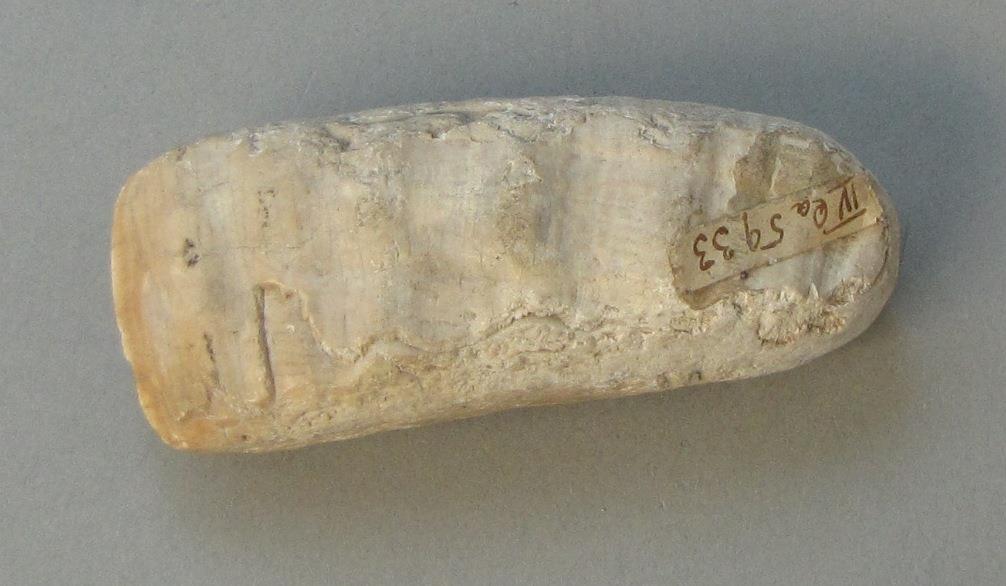 IV Ca 5933