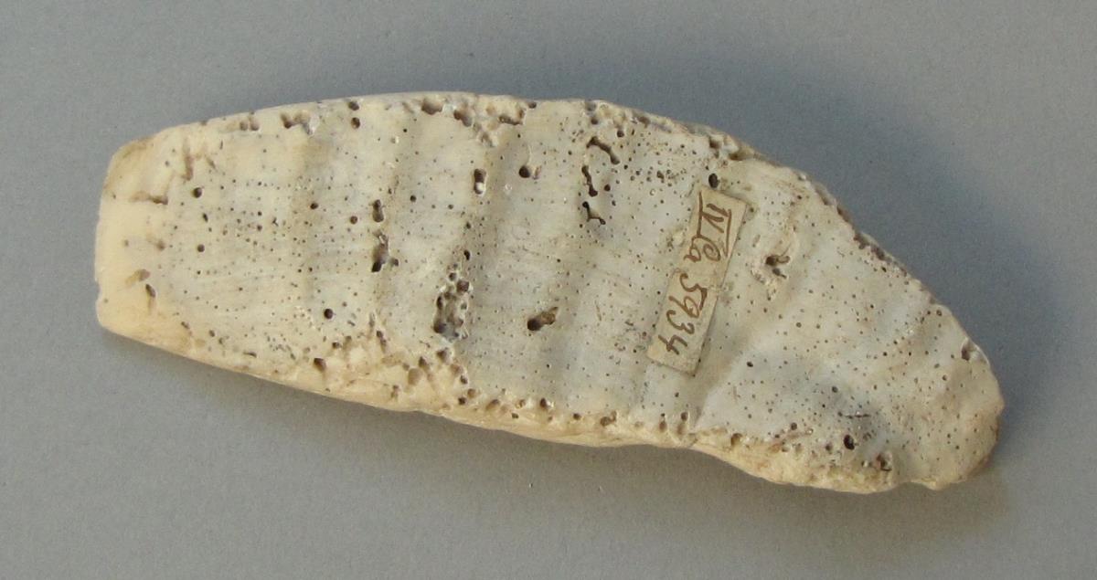 IV Ca 5934