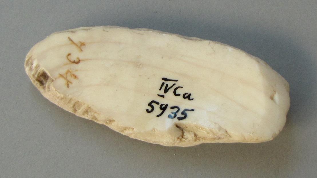 IV Ca 5935
