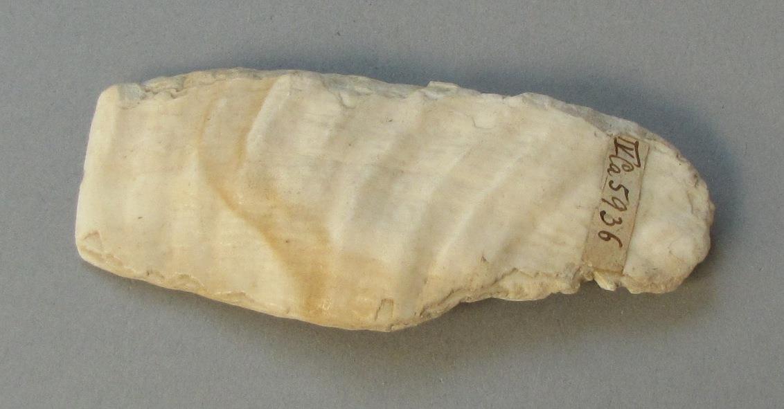 IV Ca 5936