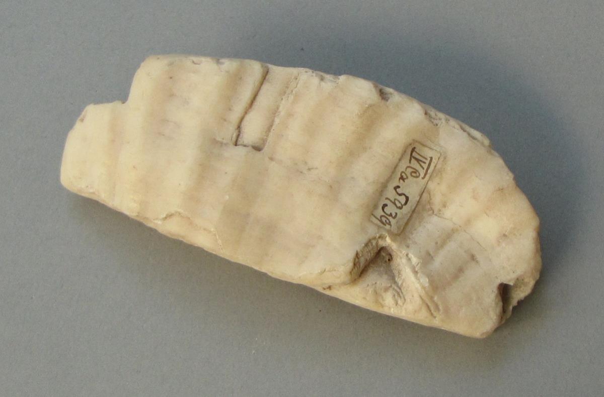 IV Ca 5939