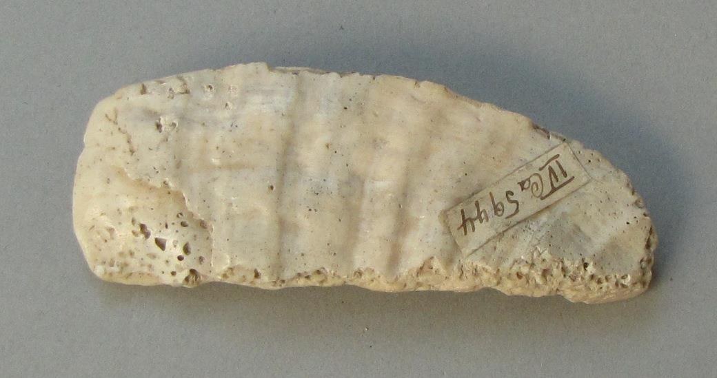 IV Ca 5944