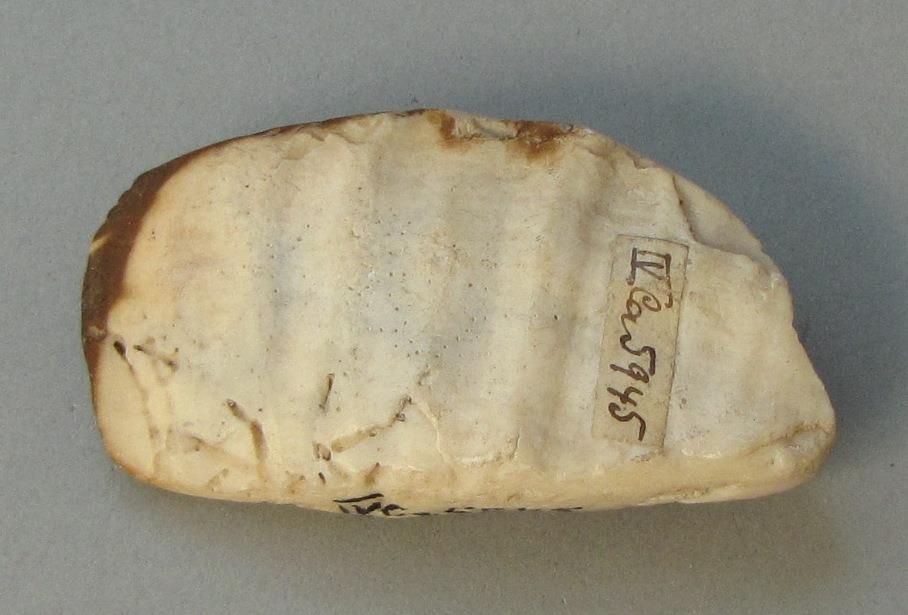 IV Ca 5945