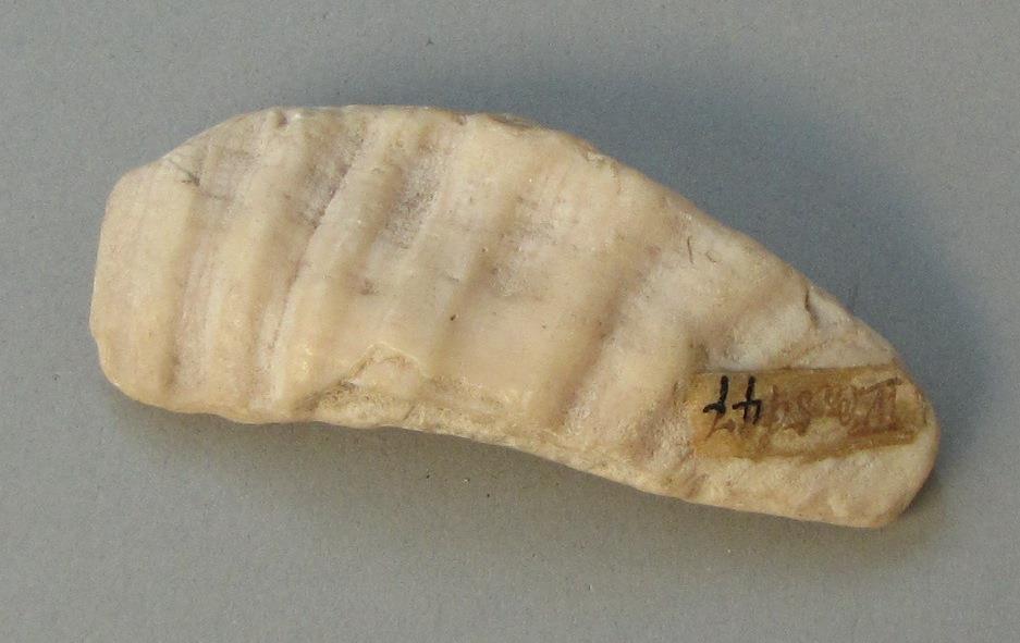 IV Ca 5947
