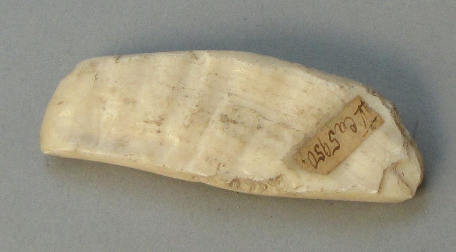 IV Ca 5950