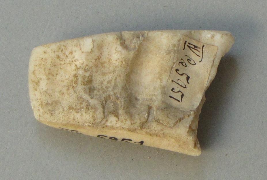 IV Ca 5951