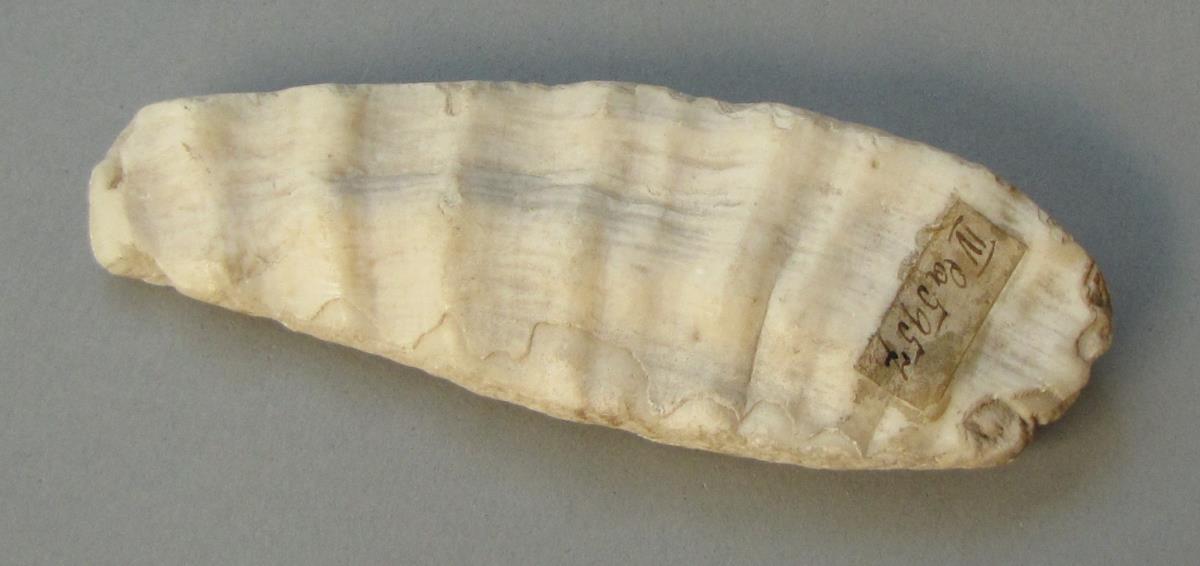 IV Ca 5957