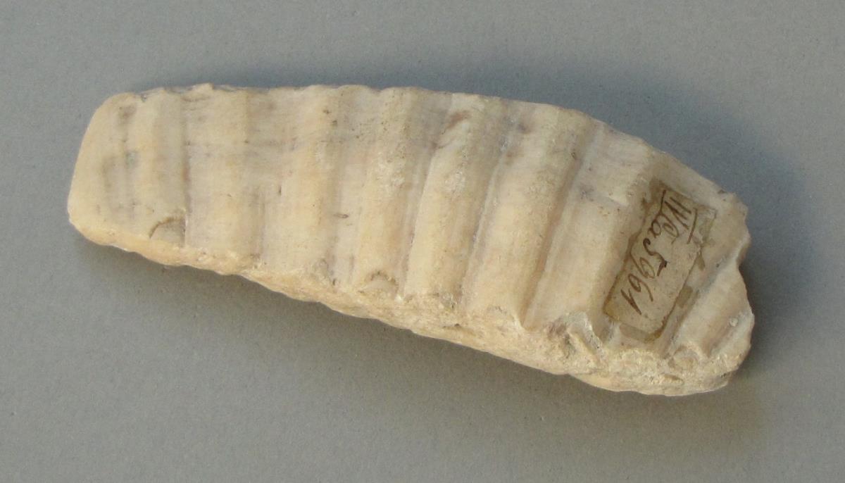 IV Ca 5961