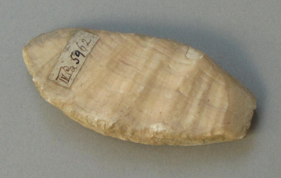 IV Ca 5962
