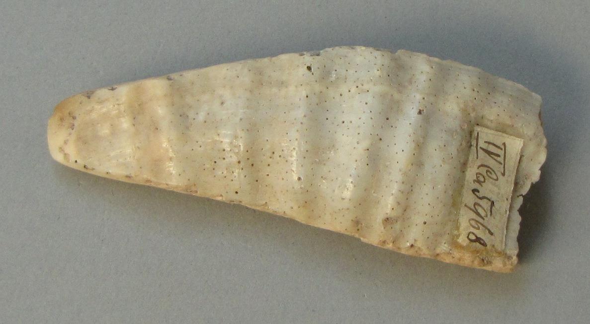 IV Ca 5968