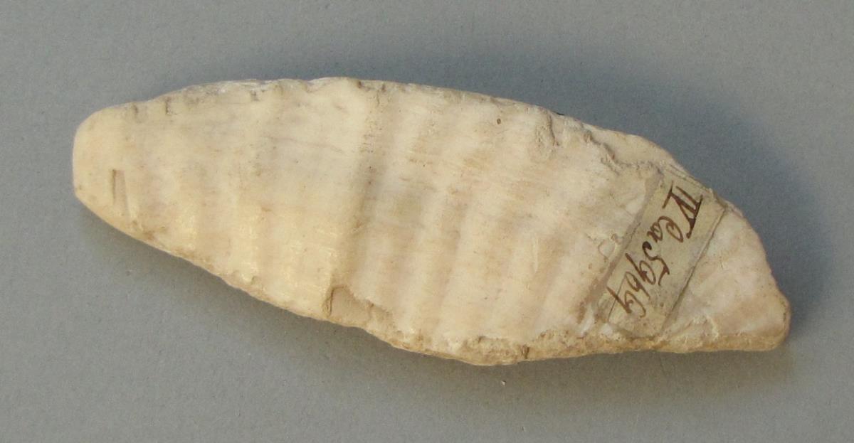 IV Ca 5969