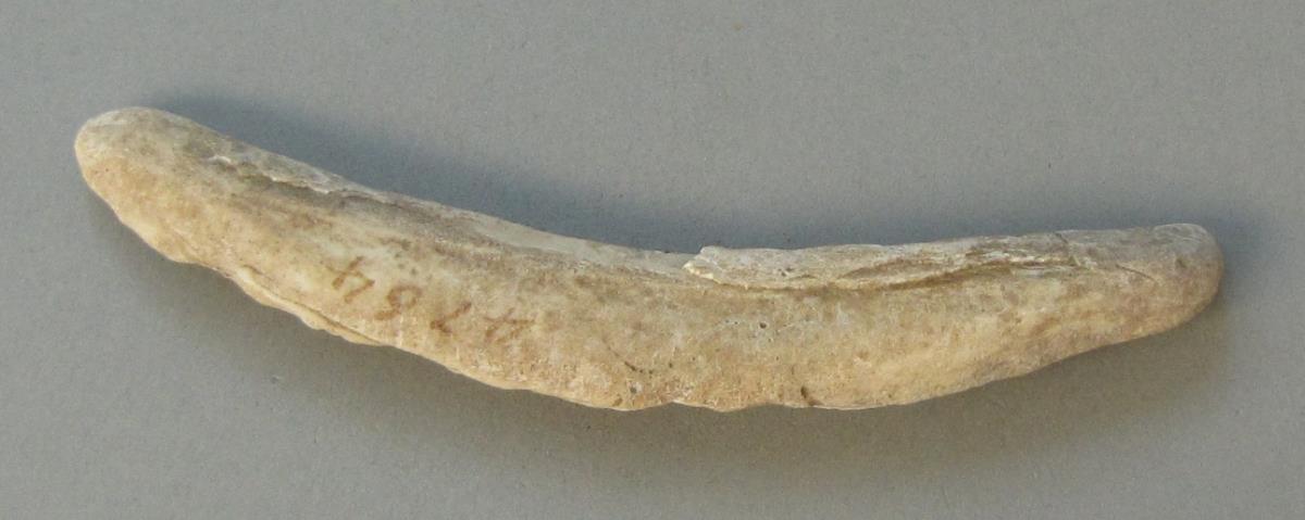 IV Ca 6004