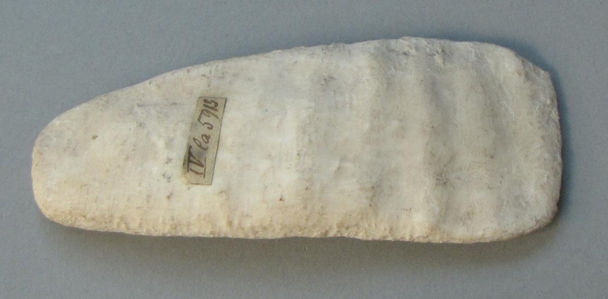 IV Ca 5913