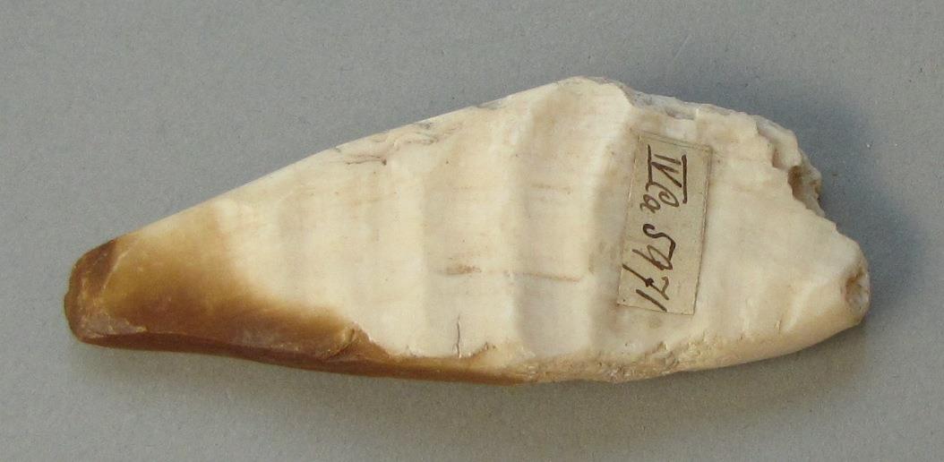 IV Ca 5971